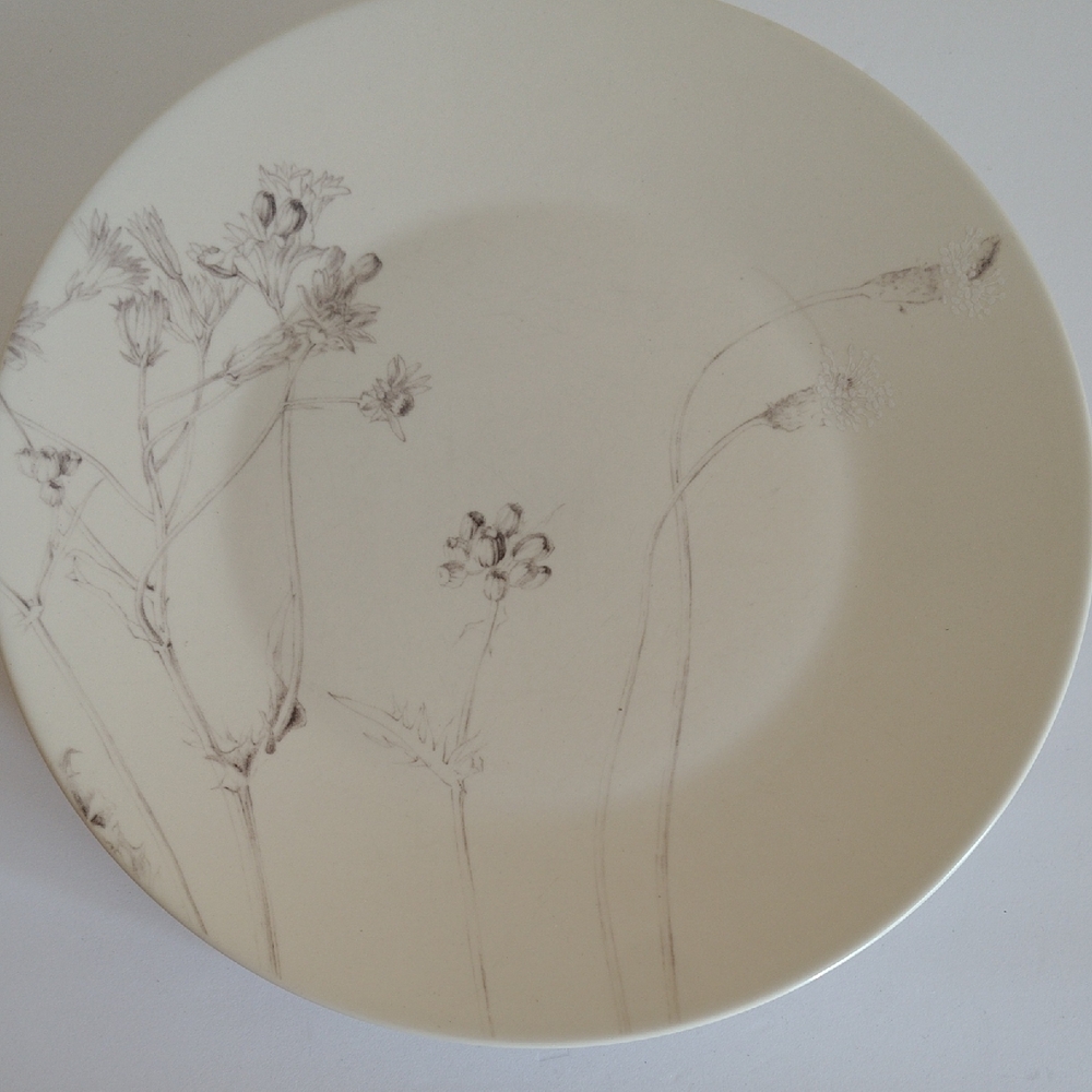 Calvin Klein Thistle Dinner Plates Set Of 4     10.75 Inches